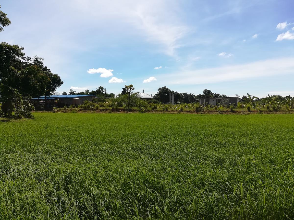 Ban Nong Chum Saeng Bn Resort מראה חיצוני תמונה