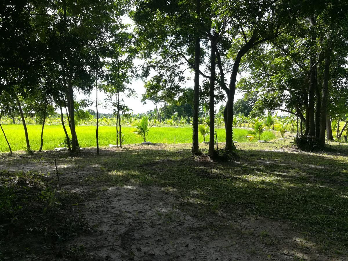 Ban Nong Chum Saeng Bn Resort מראה חיצוני תמונה