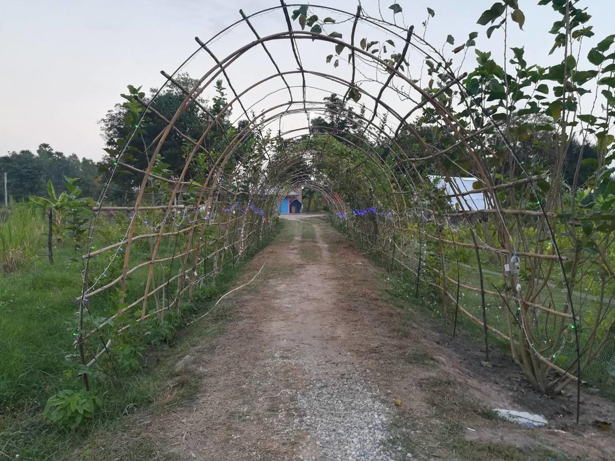 Ban Nong Chum Saeng Bn Resort מראה חיצוני תמונה