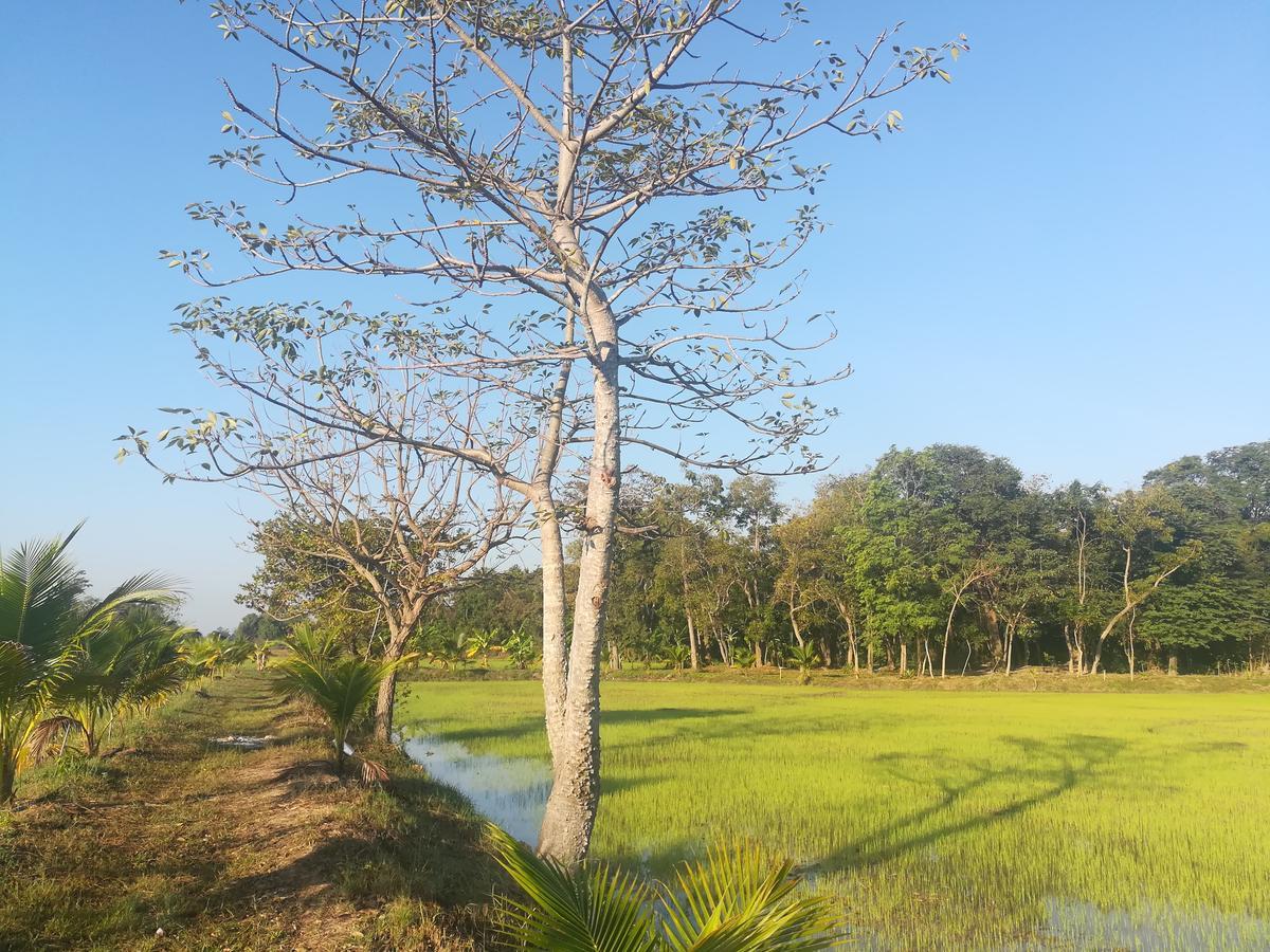 Ban Nong Chum Saeng Bn Resort מראה חיצוני תמונה