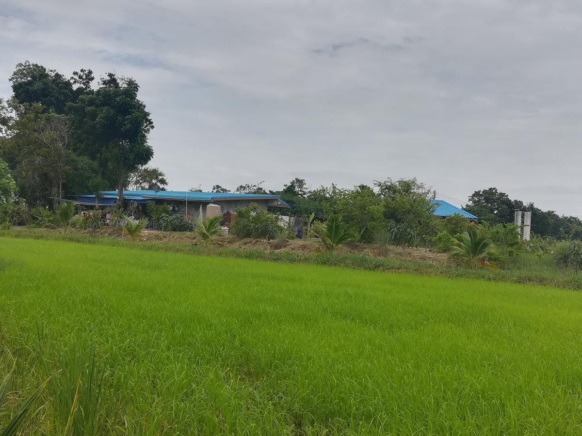 Ban Nong Chum Saeng Bn Resort מראה חיצוני תמונה
